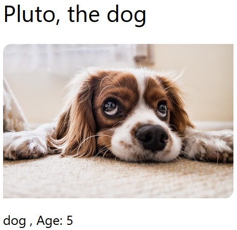 project-screenshot of Pet Shop Project